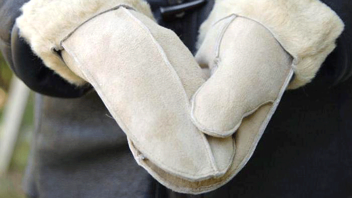 Варежки / перчатки